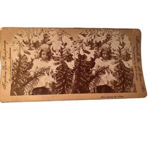 Keystone View Co Among The Lillies Late 1890's